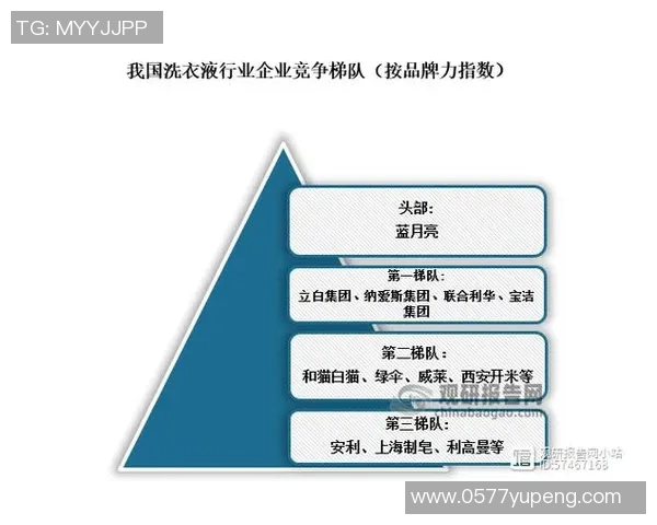 代怀博的崛起与未来发展趋势分析及其在行业中的影响力探讨