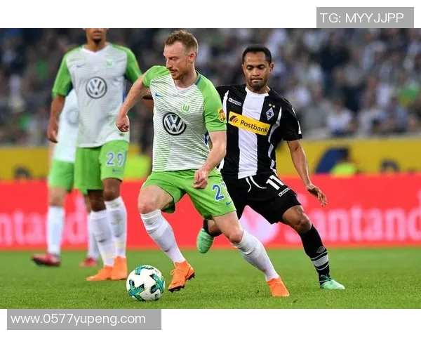 2017年门兴格拉德巴赫对阵汉堡精彩回顾与赛后分析