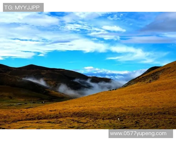 崔永熙的艺术之路与人生哲学探讨:从初心到巅峰的心灵旅程 崔永熙的艺术之路与人生哲学探讨:从初心到巅峰的心灵旅程