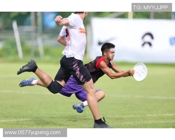 陈伟独家分享飞盘技巧与心得体会助你提升飞盘水平的实用指南MBA 陈伟独家分享飞盘技巧与心得体会助你提升飞盘水平的实用指南MBA