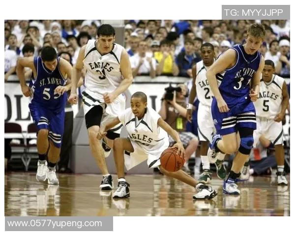 杰登艾维的篮球之路：从新秀到明星的成长故事与未来展望