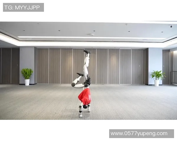 北京极限运动队如何推动个人能力的全面提升与变革探讨MBA